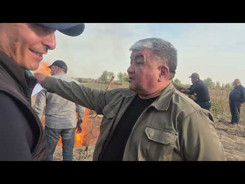 Видео: Ўзбекистон республикаси қишлоқ хўжалиги вазири академик И. Абурахмонов Пахтакор дехқон семинари. 