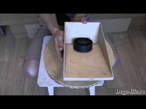 Видео: Беговая тарелка для дегу и шиншилл