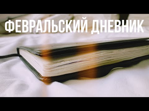 Видео: личный дневник за февраль // комментарии