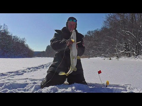 Видео: ЩУКИ АТАКУЮТ! РЫБАЛКА СКАЗКА! НАЛОВИЛ РЫБЫ В МОРОЗ! Ловля рыбы на мормышку и жерлицы 2025.