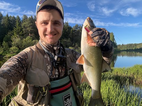 Видео: Первый жерех с переката 2024 г