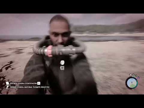 Видео: Магия Леса ✨ | Солянка