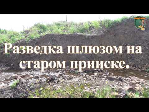 Видео: Золото мою шлюзом на старом прииске.