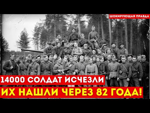 Видео: Пропавшие 14 000 солдат: Секрет Беловежской пущи, который скрывали 82 года