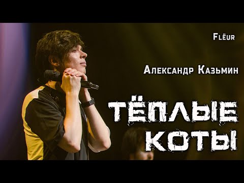 Видео: Александр Казьмин - Тёплые коты (cover «Flëur»)