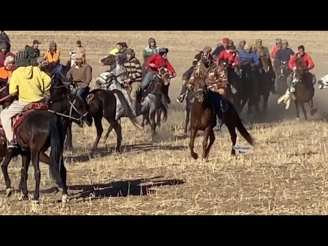 Видео: Бузкаши 06.12.2023 Навобод #1