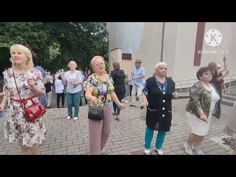 Видео: Цветёт акация...............02.06.24 Гомель парк Луначарского 🥰