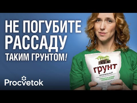 Видео: 2 ИЗ 5 ГРУНТОВ НЕ ПРОШЛИ НАШ ТЕСТ! Пощупали, понюхали, измерили Ph популярных грунтов для рассады