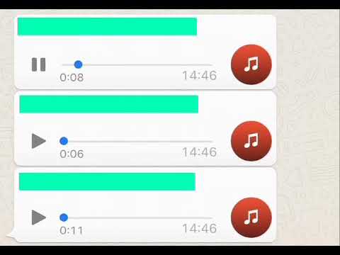 Видео: Тасбақа Анекдот Прикол!