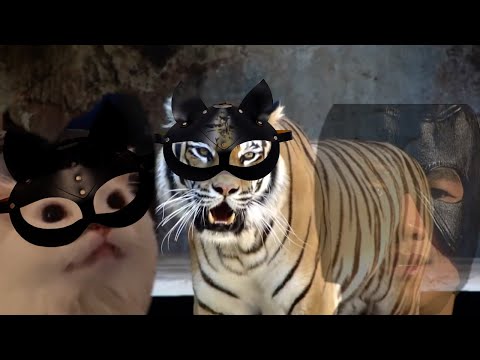 Видео: Gachi Animals | Гачи Животные | HUH?