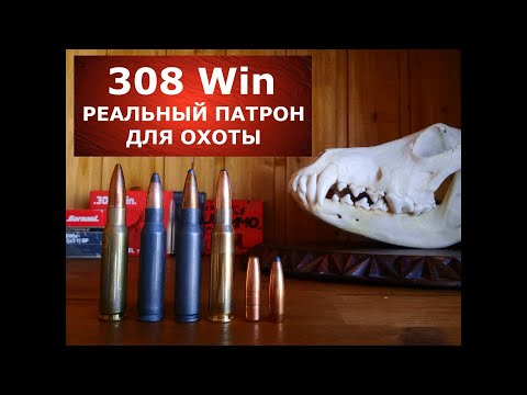 Видео: 308 Win реальный патрон для реальной охоты!  Почему?