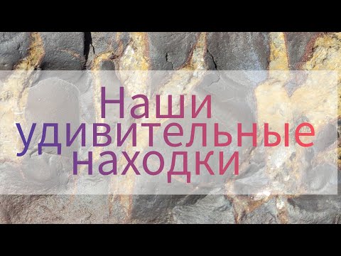 Видео: Наши #каменные находки после похода. Удивительные и необычные #камни