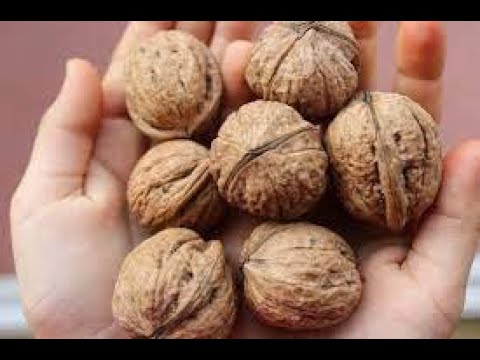 Видео: Грецкие орехи, машина для колки орехов.Маринкины творинки. Всем МИРА и Добра!