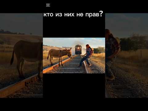 Видео: эшек !