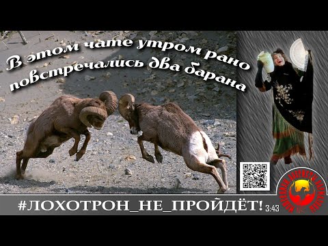 Видео: Два мошенника нашли друг друга. (Автор - Наталья Рамирес)