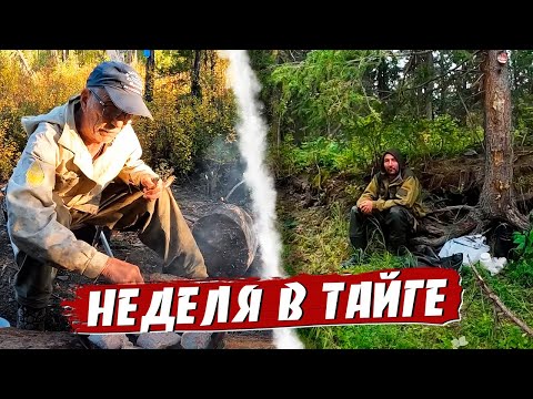 Видео: Тайга .По старым тропам воспоминаний.