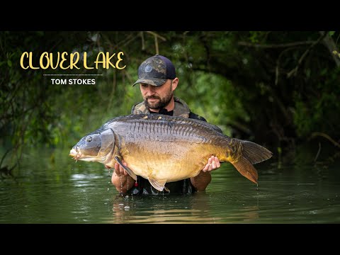 Видео: Кловер-Лейк, ловля крупного карпа в водорослях | Отрывок