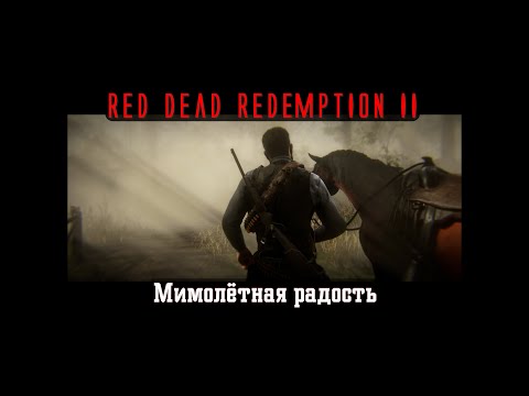 Видео: Red Dead Redemption II. Серия 246. Мимолётная радость (Глава 5. Гуарма)