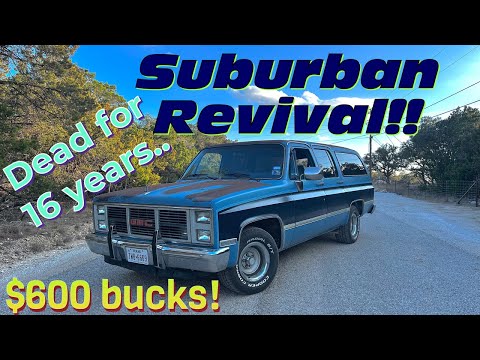 Видео: Брошены на смерть! Пригород! Поедет ли?