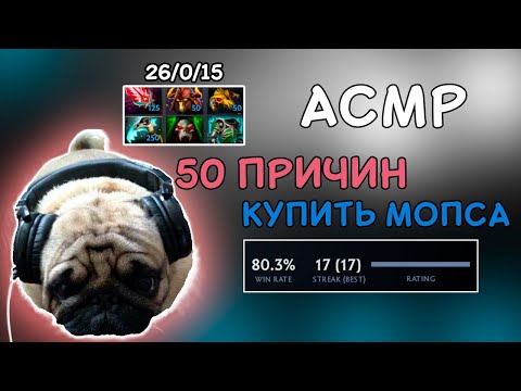 Видео: АСМР ДОТА - МОПСЫ МОПСЯРКИ