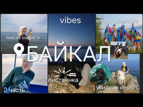 Видео: 2 часть/БАЙКАЛ/увидели нерп/лотосы/шаманский мыс/