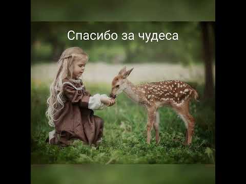Видео: Спасибо за чудеса