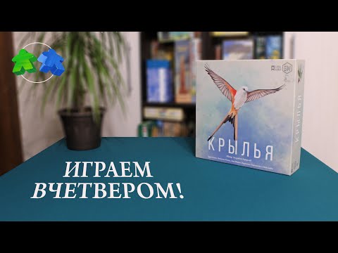 Видео: Крылья - играем вчетвером в настольную игру! Wingspan board game. Let's play.