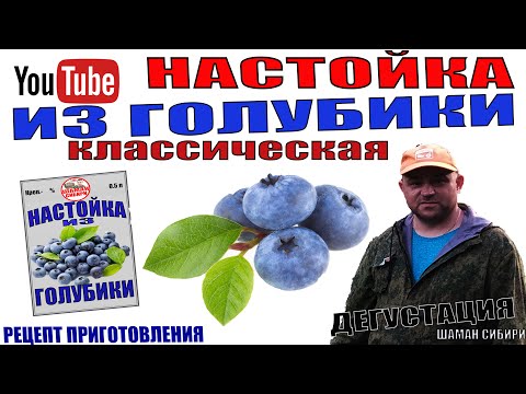 Видео: Настойка из Голубики Классическая! Рецепт приготовления! Дегустация!