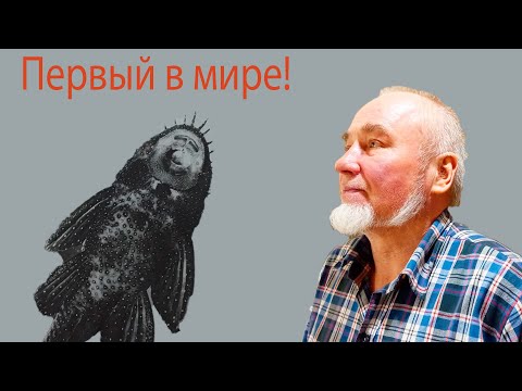 Видео: Валерий Никитин. Первый в мире развел звездчатого анциструса. Старая гвардия!