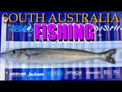 Видео: Рыбалка в Южной Австралии в одиночку.