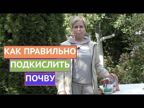 Видео: КАК "ИСПРАВИТЬ" ЩЕЛОЧНУЮ ПОЧВУ И СДЕЛАТЬ ЕЕ ПОДХОДЯЩЕЙ ДЛЯ РАСТЕНИЙ!