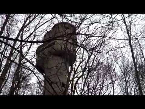 Видео: вышка дальномер  ж.д.  артбатареи. коса.