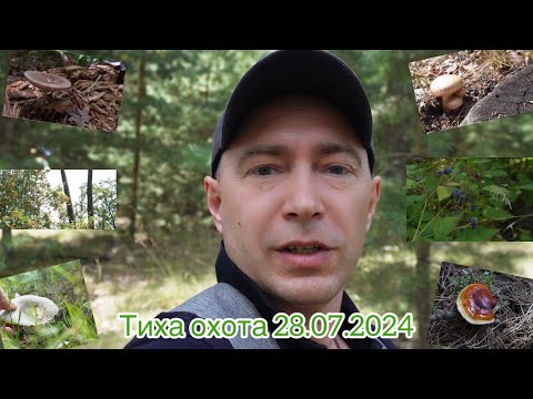 Видео: Пригоди на природі в Турбівському лісі 🌳🌳🌳Вінниччина🌳🌳🌳