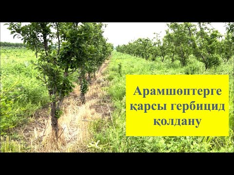 Видео: Арамшөптерге қарсы гербицид қолданудың нәтижесі