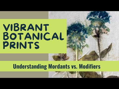 Видео: Секрет ярких ботанических принтов: протравы и модификаторы