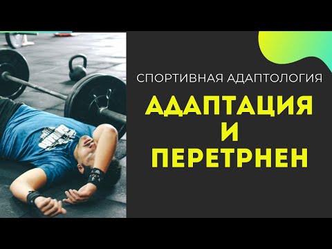 Видео: АДАПТАЦИЯ И ПЕРЕТРЕН | Теория Селье | СПОРТИВНАЯ АДАПТОЛОГИЯ