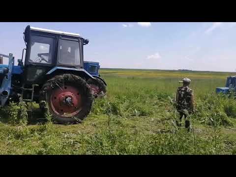 Видео: Трактора буксуют.