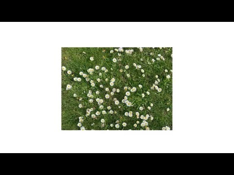 Видео: FACE - Неврастеник (2023, Prod. by Chuki Beats)