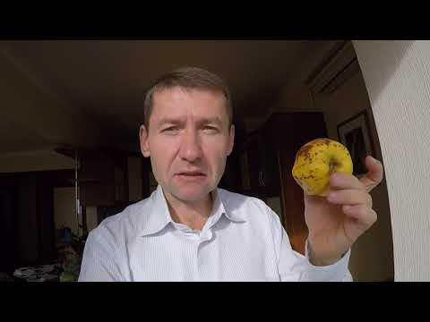 Видео: Плесень на фруктах и овощах...