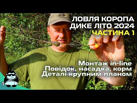 Видео: Ловля коропа на дикарі. Літо 2024