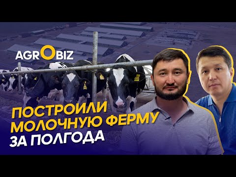 Видео: Как развиваются крупные и небольшие молочные фермы в Казахстане? Agro Trade PV и Акколь Агро