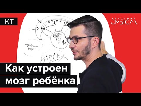Видео: Как формируется психика человека? Факт-карта