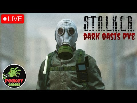 Видео: 🛑 DayZ Stalker Pve "Начало"