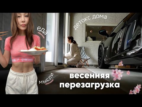 Видео: ВЕСНА В ТОКИО | жизнь по полочкам.. Тоши ждет гостей!