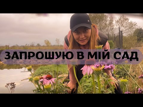 Видео: ПРОГУЛЯНКА САДОМ🌳 #сад  #садівник #garden #садовий #осінь