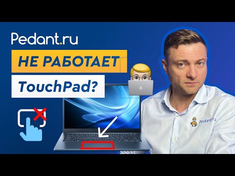 Видео: Тачпад на ноутбуке не работает? / 6 способов решения проблемы с TouchPad.