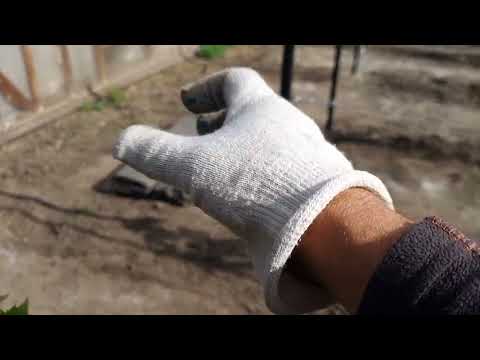 Видео: Хвалёные дорожки от сорняков на винограднике-демонтаж и честный отзыв.