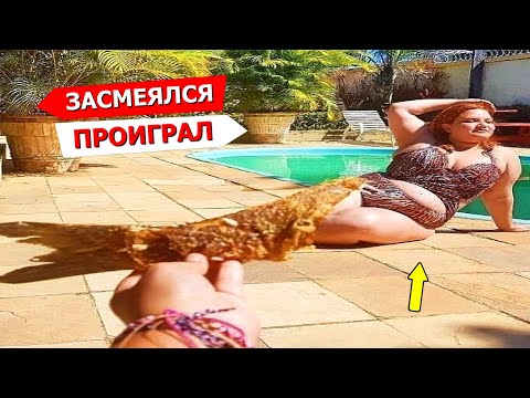 Видео: Я РЖАЛ ДО СЛЕЗ😂 40 Минут ОТБОРНЫХ ПРИКОЛОВ 2023 Смешные видео - Лучшие ПРИКОЛЫ #39