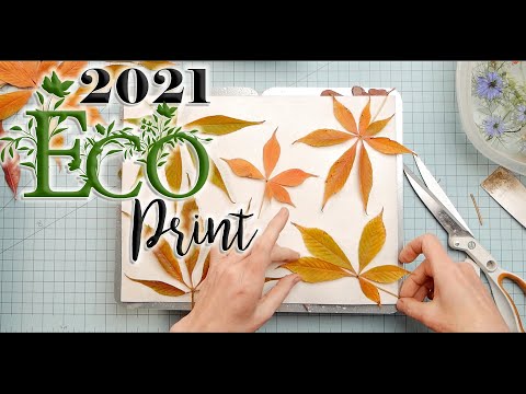 Видео: ПРОЕКТ ЭКО ПЕЧАТИ 2021 🌿