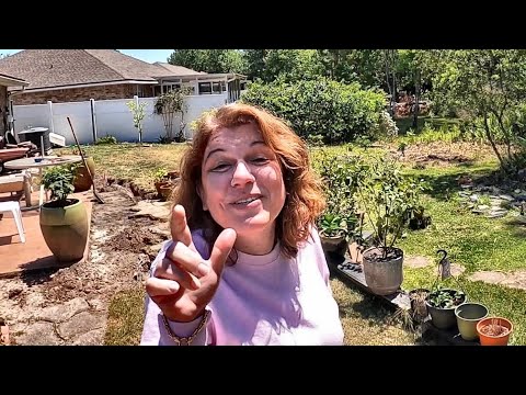 Видео: ,,МОЖЕТ ВОДОЧКИ?’’- заказчики.